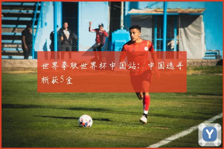 世界拳联世界杯中国站：中国选手斩获5金